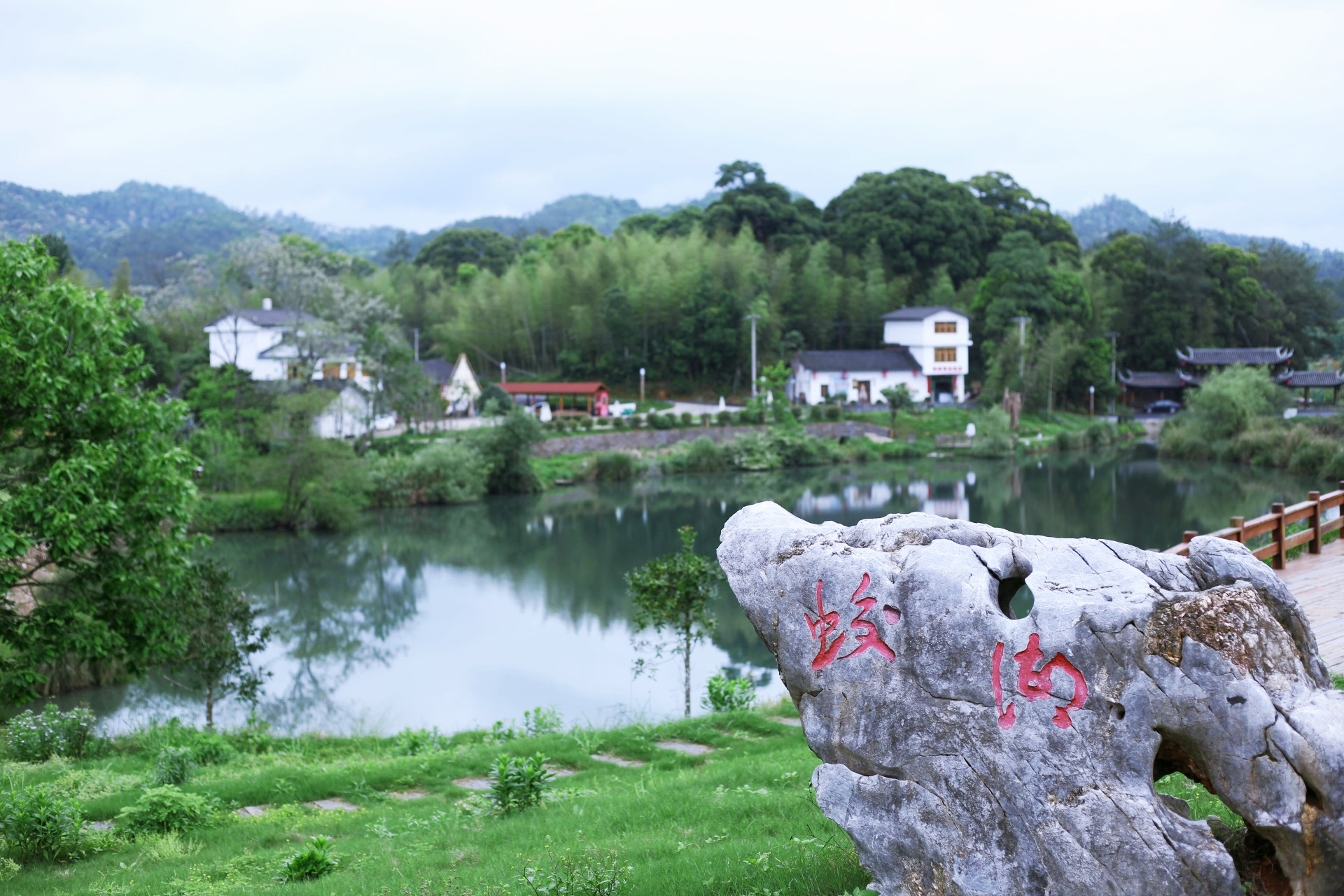 寧化縣湖村蛟湖小鎮(zhèn)。（寧化縣委組織部供圖）.jpg